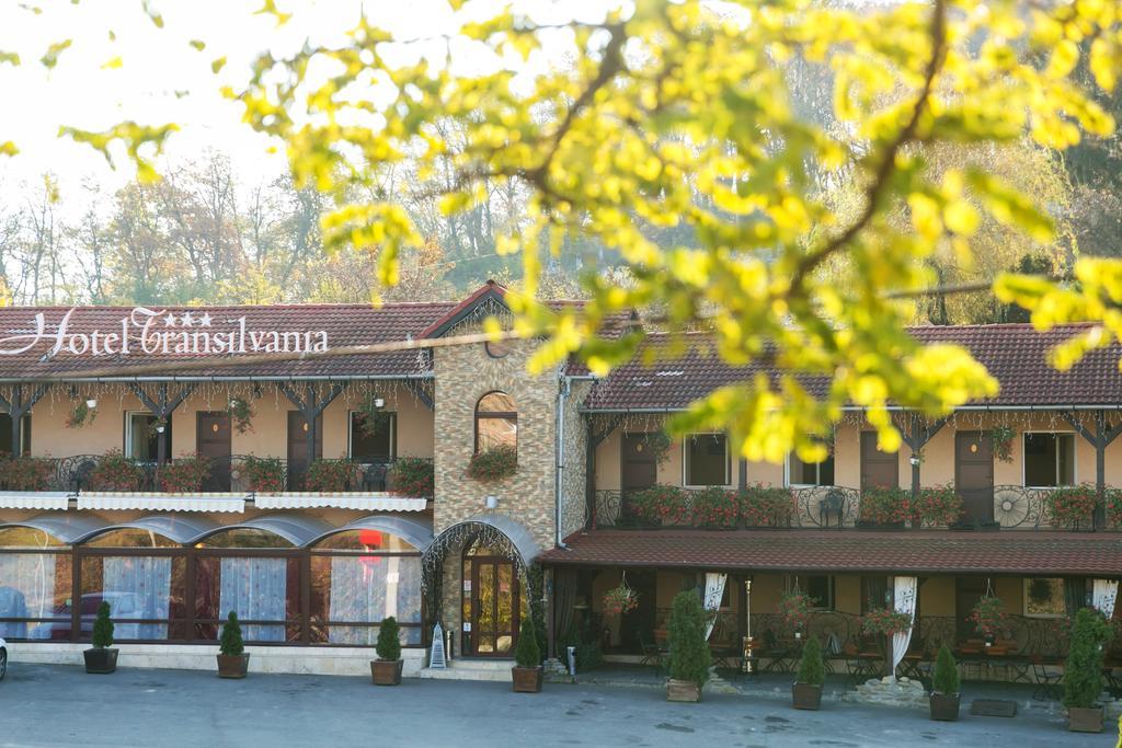 Hotel Transilvania سيفِسوارا المظهر الخارجي الصورة