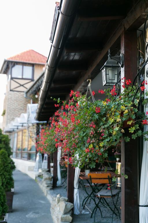 Hotel Transilvania سيفِسوارا المظهر الخارجي الصورة