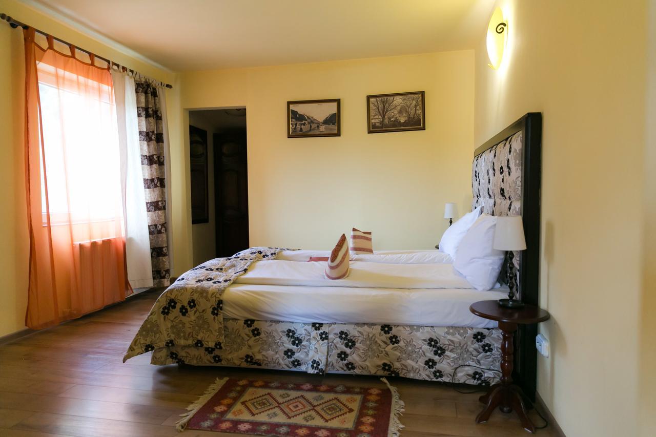 Hotel Transilvania سيفِسوارا المظهر الخارجي الصورة